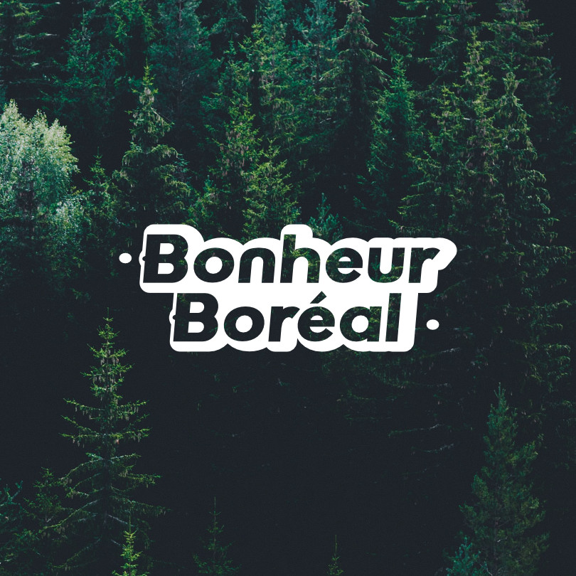 Logo Bonheur Boréal